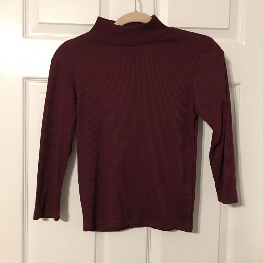 Maroon Fitted turtleneck